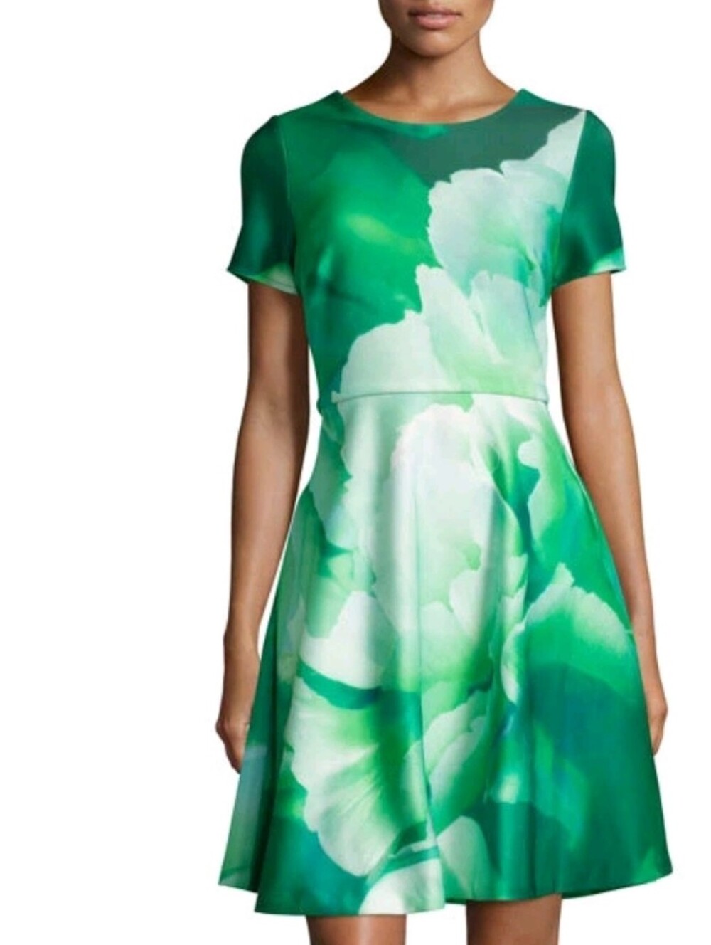 julia jordan Green & White Floral Fit-and-Flare Scuba Dress - Size 12